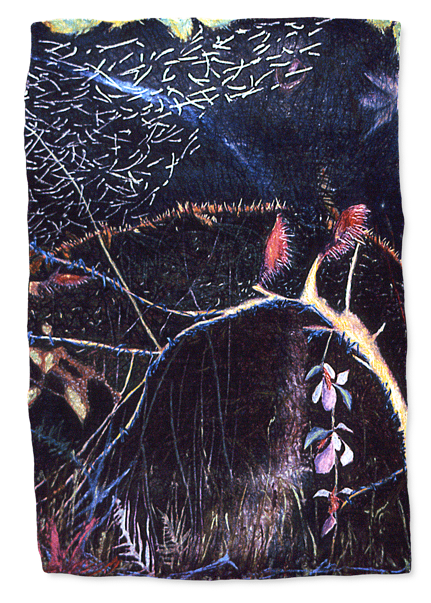 Fern Forest #2