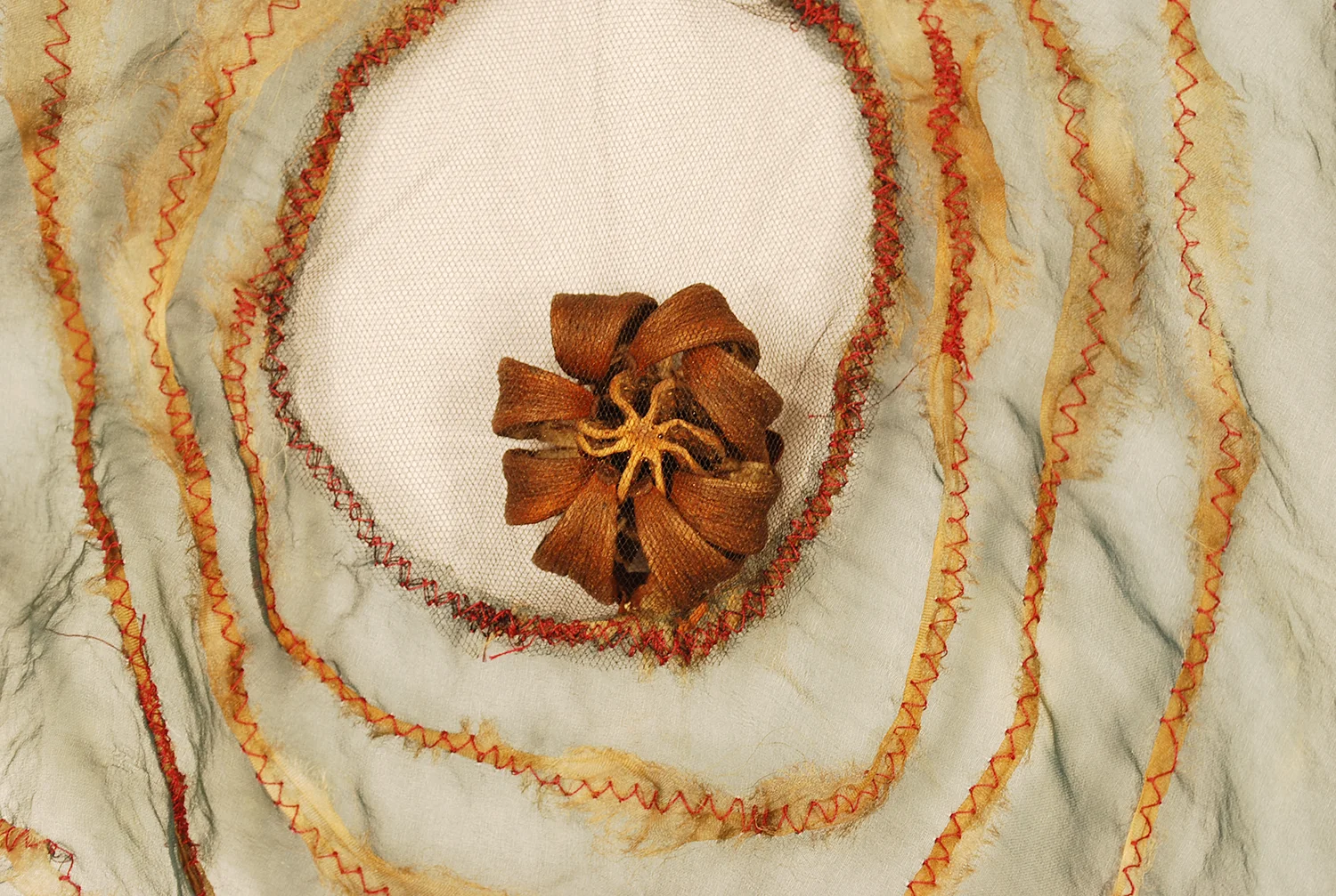 Spiral Womb #5 (seedpod), DETAIL