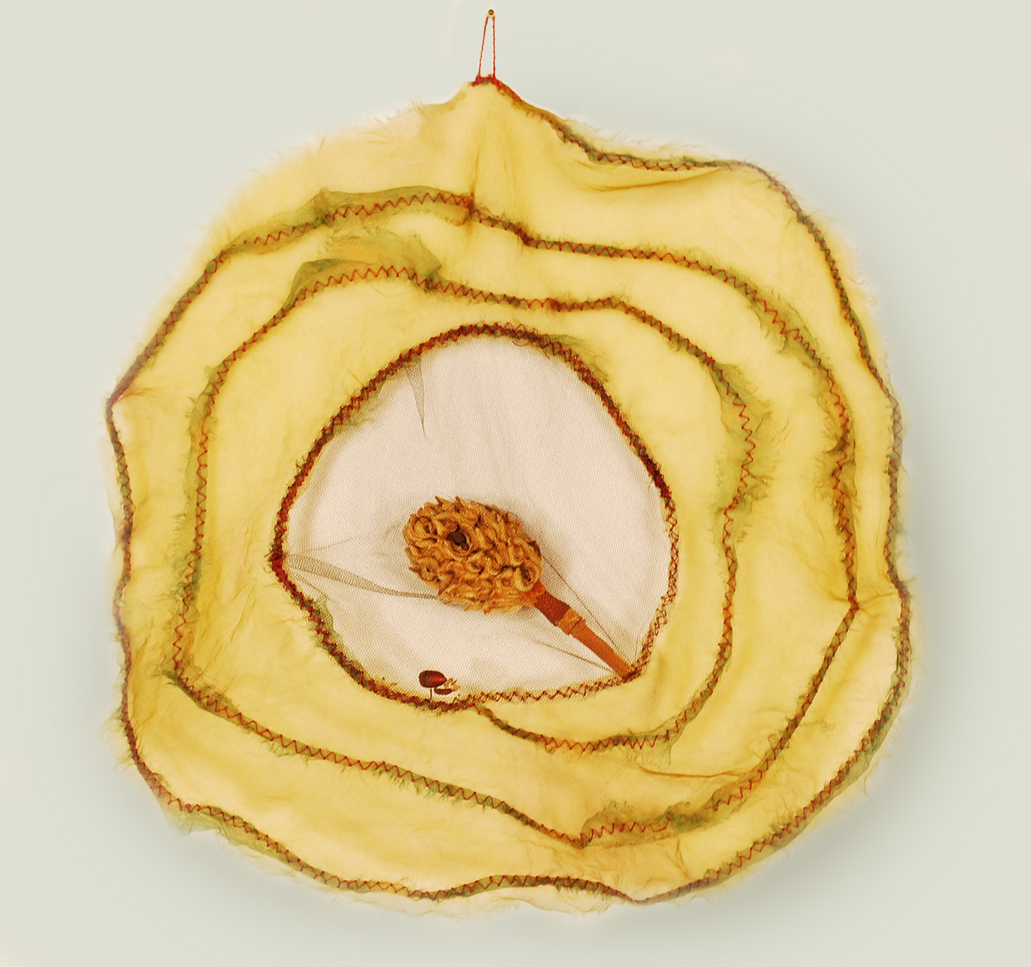 Spiral Womb #2
