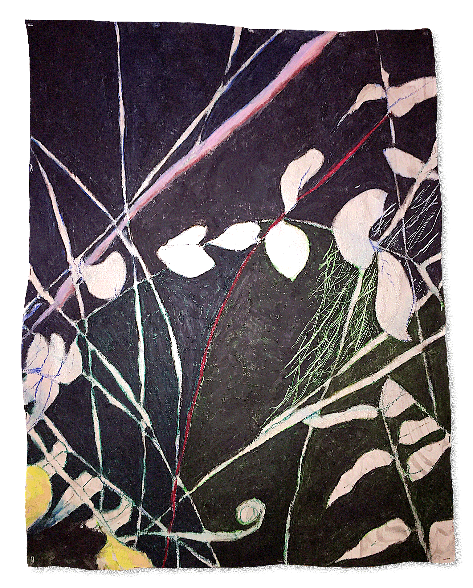 Back Porch Series #2