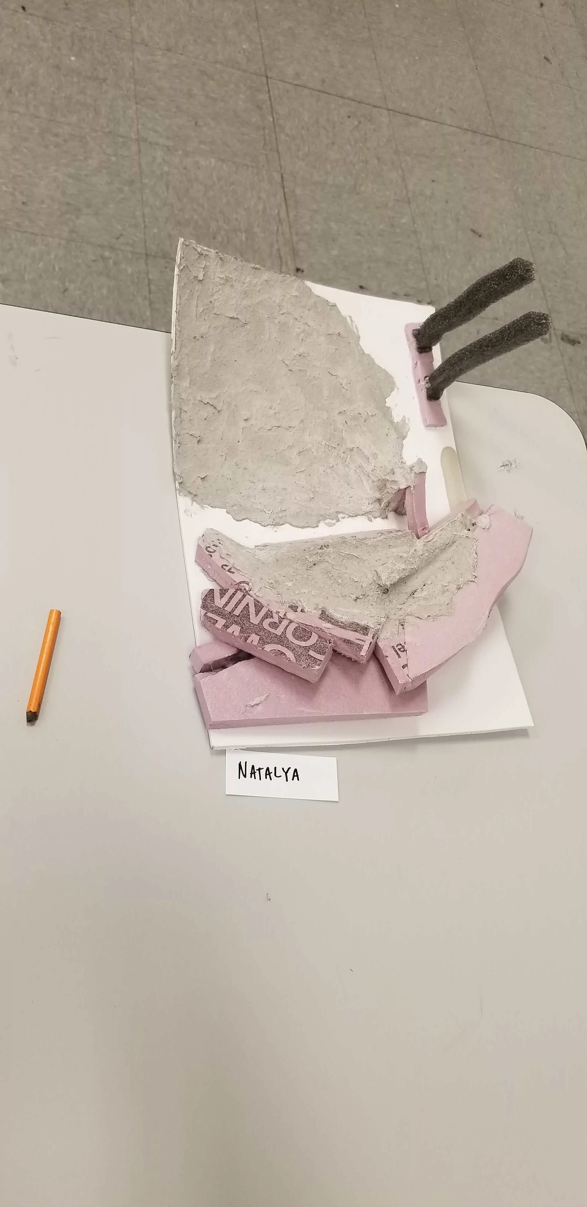 20181117_114209.jpg