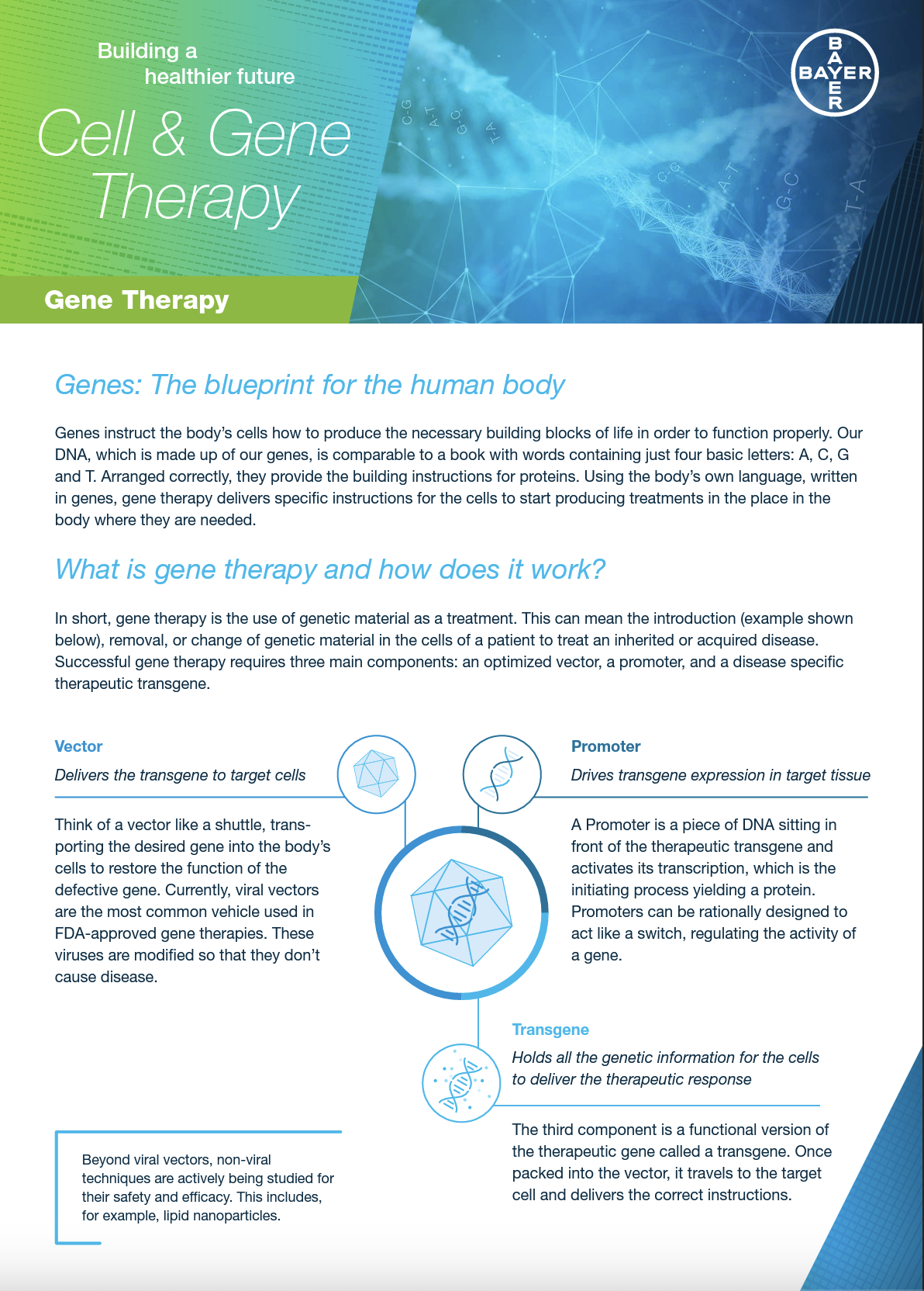 Gene Therapy FactSheet