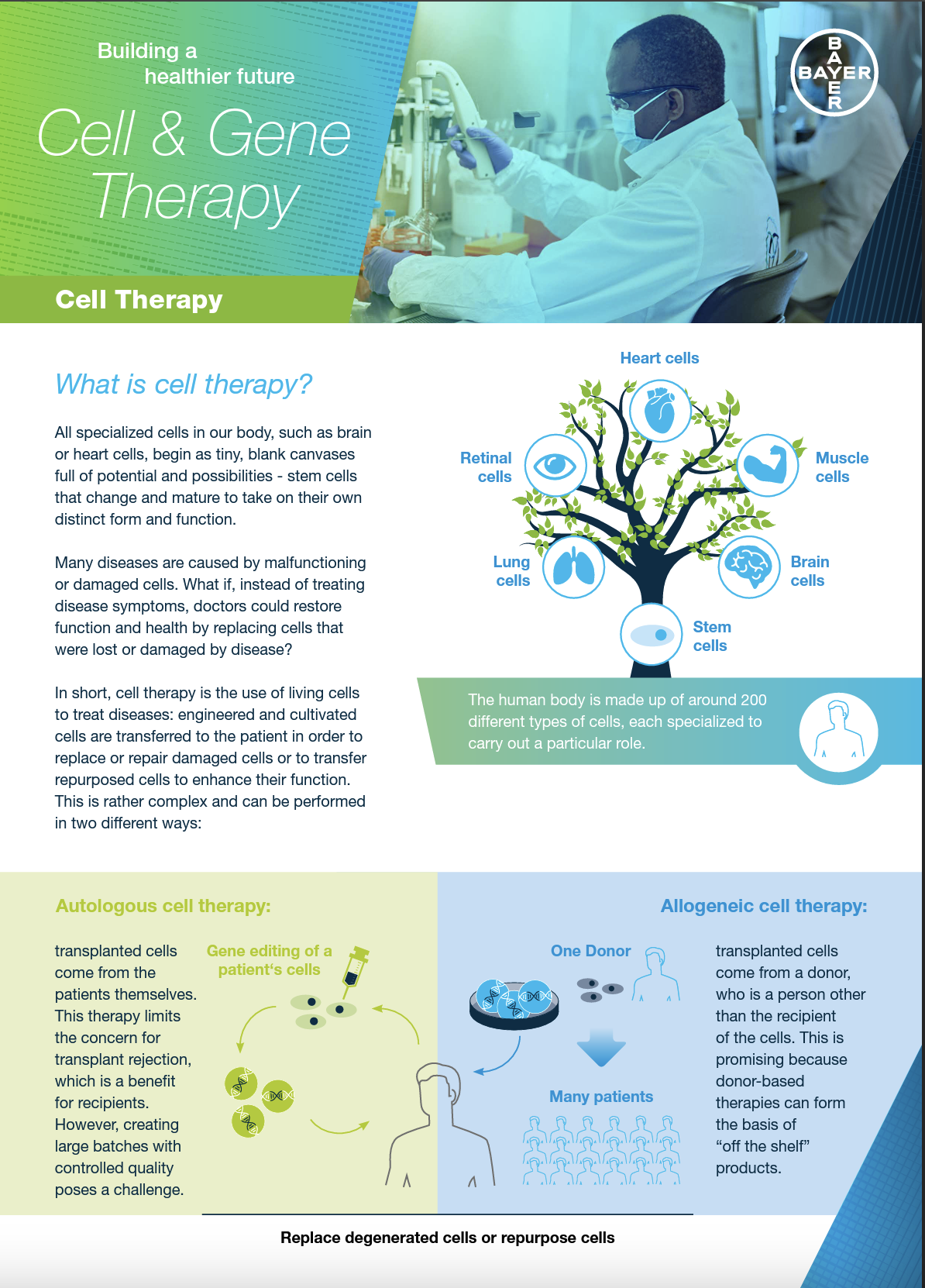 Cell Therapy Factsheet