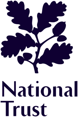 NT logo.png