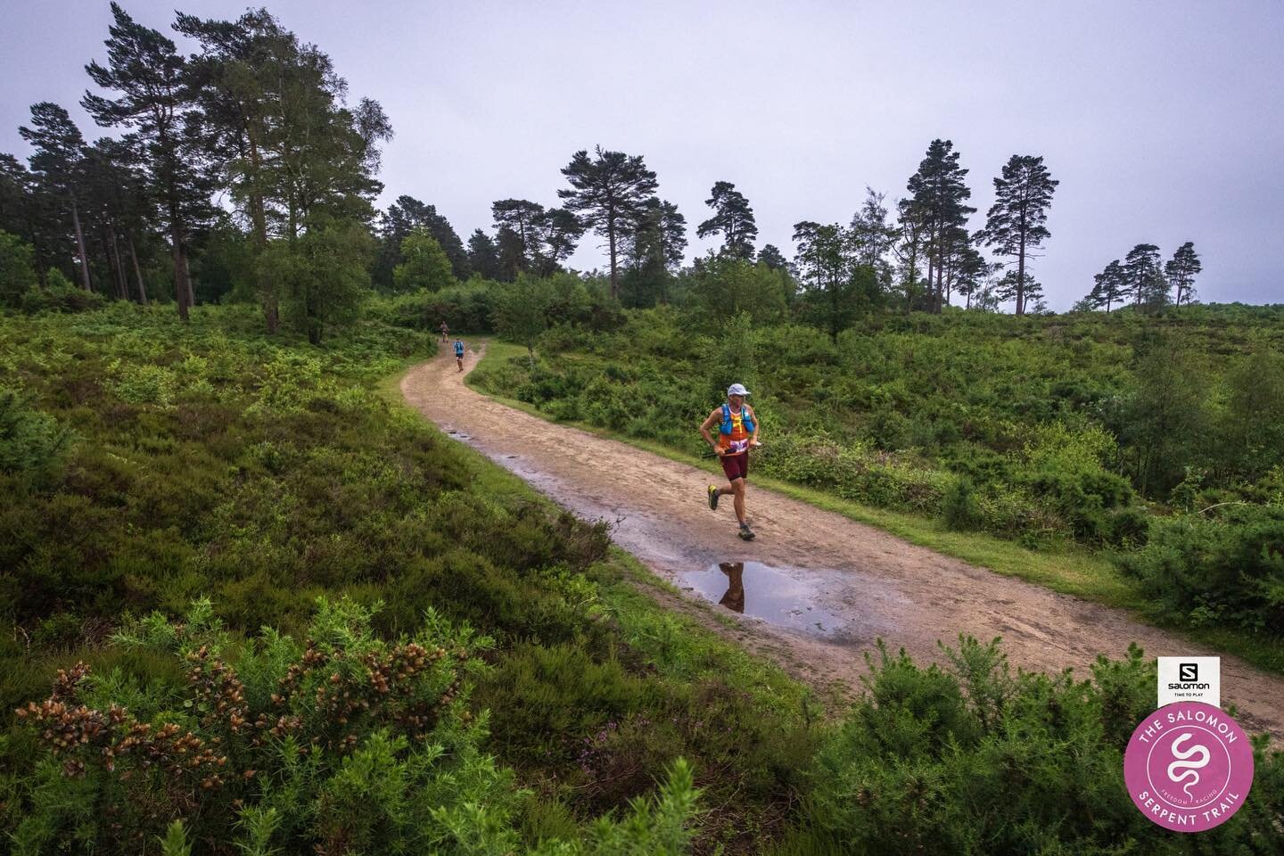 B.E.A.UTIFUL woods and heathland along the Salomon Serpent Trail!
This is Blackdown, about 3 miles into the 100k and the highest point in the @southdownsnp 🐍🏃&zwj;♂️🌳
@salomonrunning 
@the_tribe_way 
@landroverpulborough 
#foryourfreedom 
#salomon