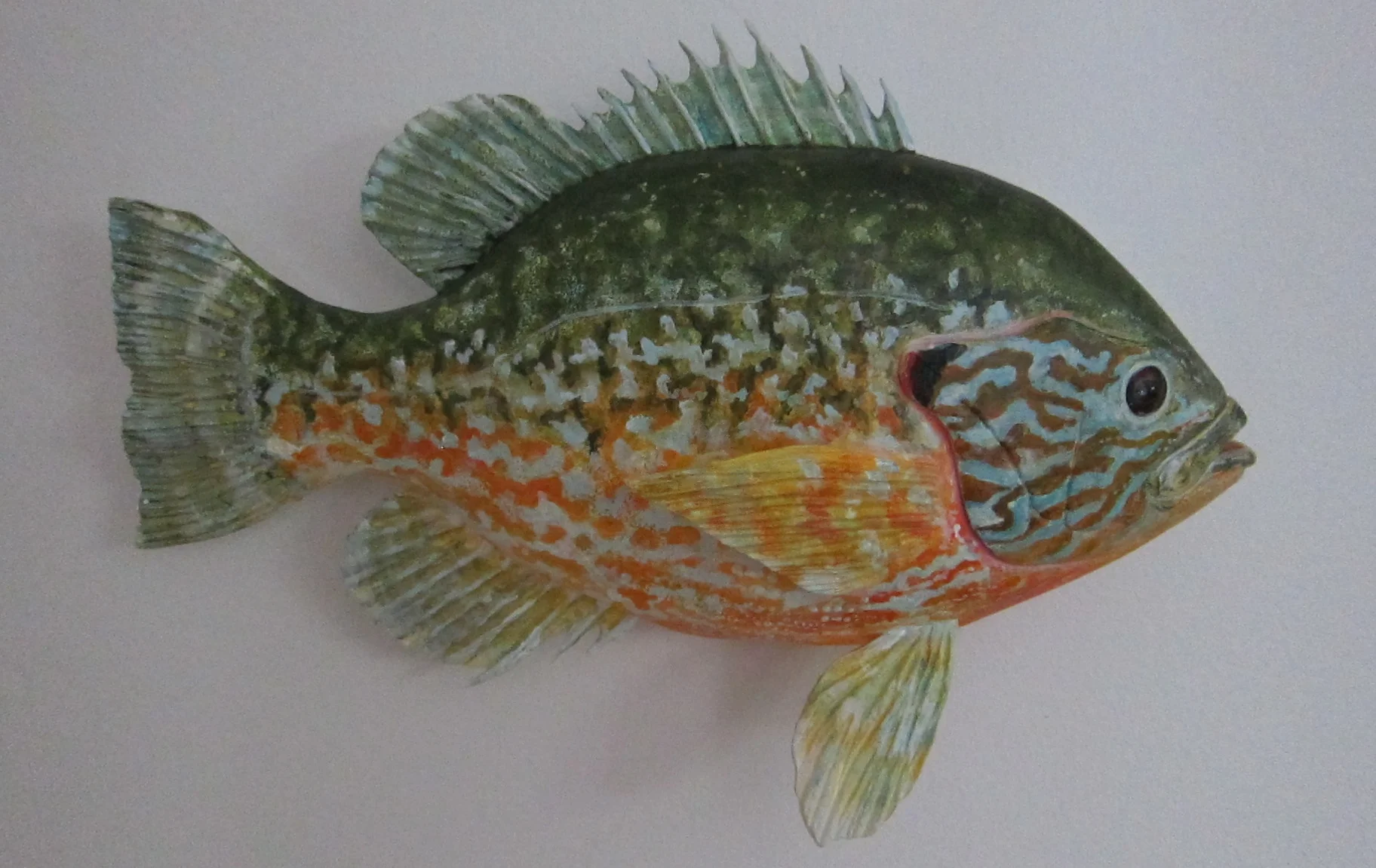 Pumpkinseed