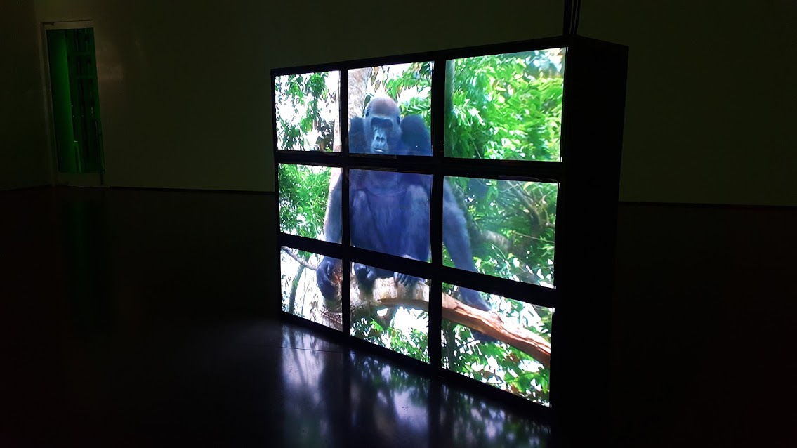 Aspen Art Museum