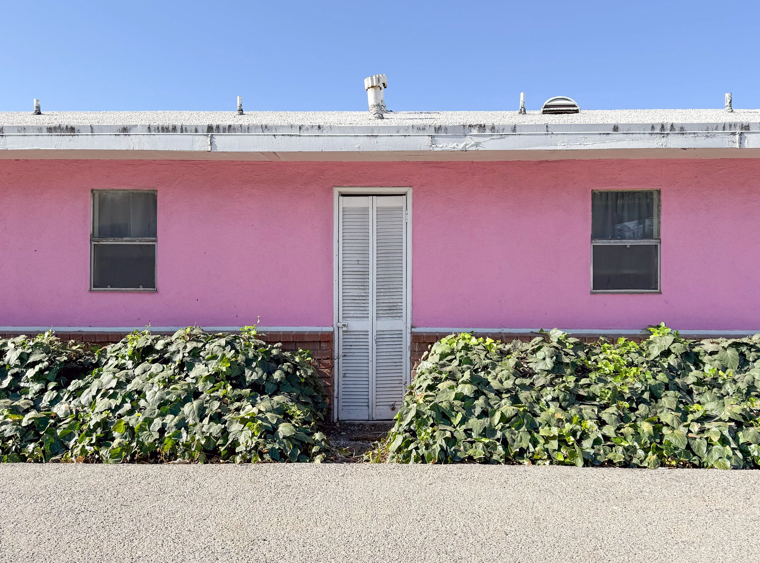 Pink Motel