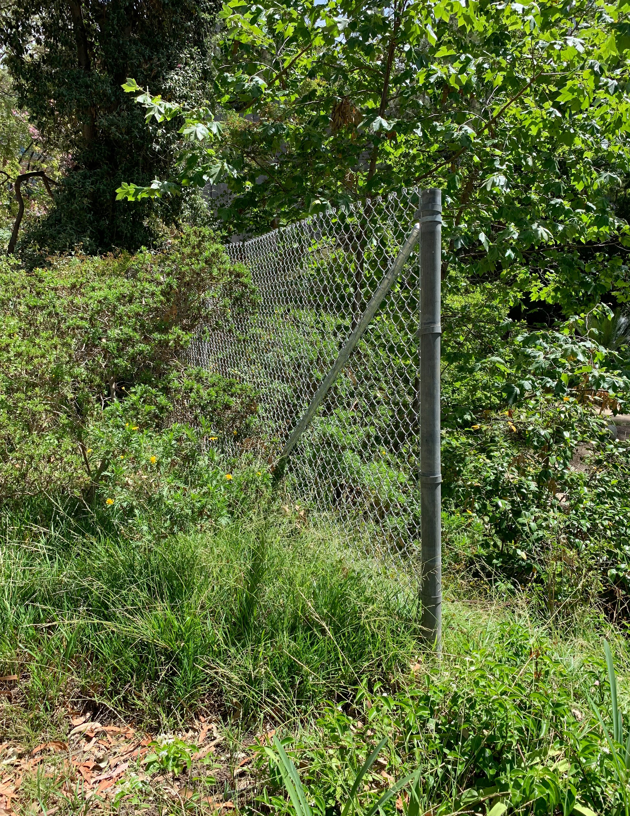 Chain Link