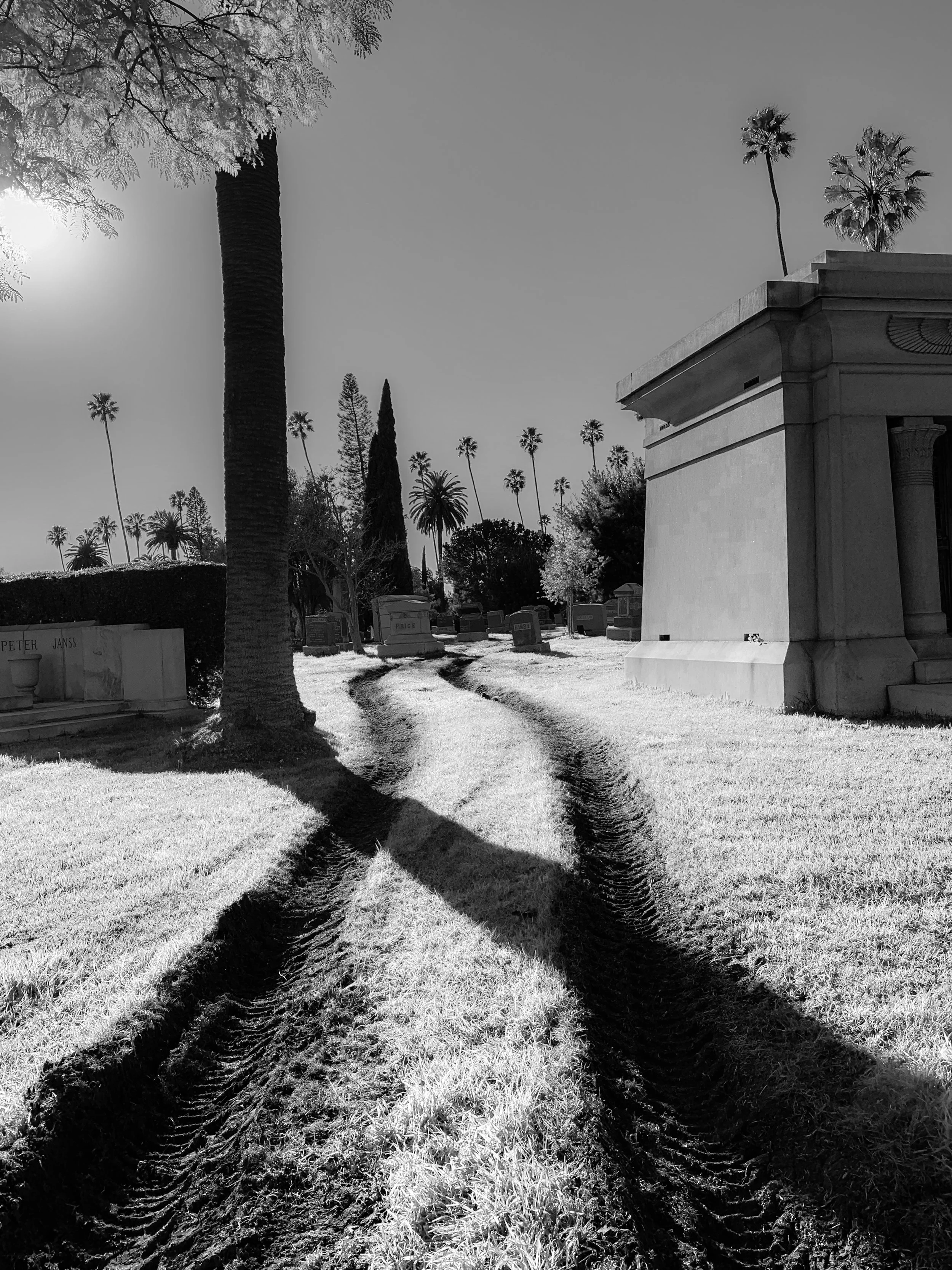 Hollywood Forever