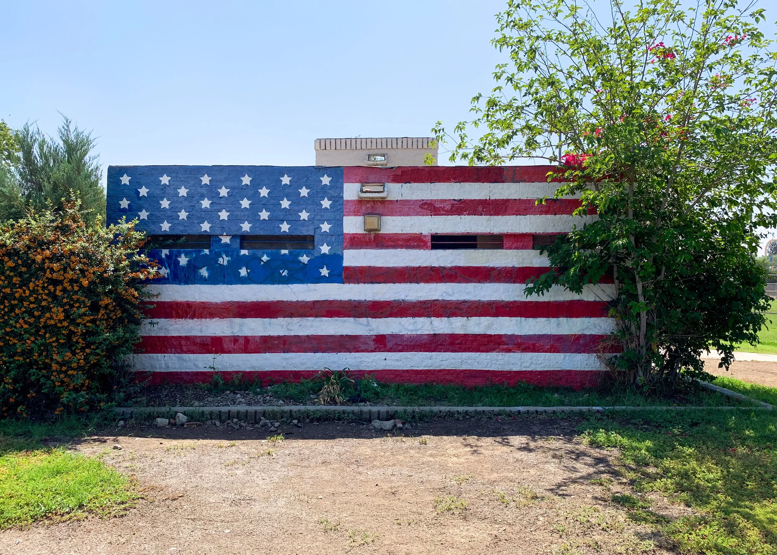 Painted Flag