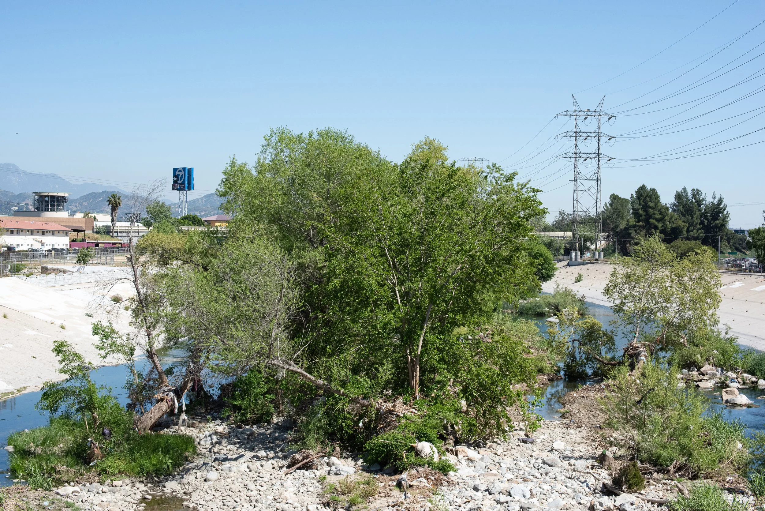 LA River #33