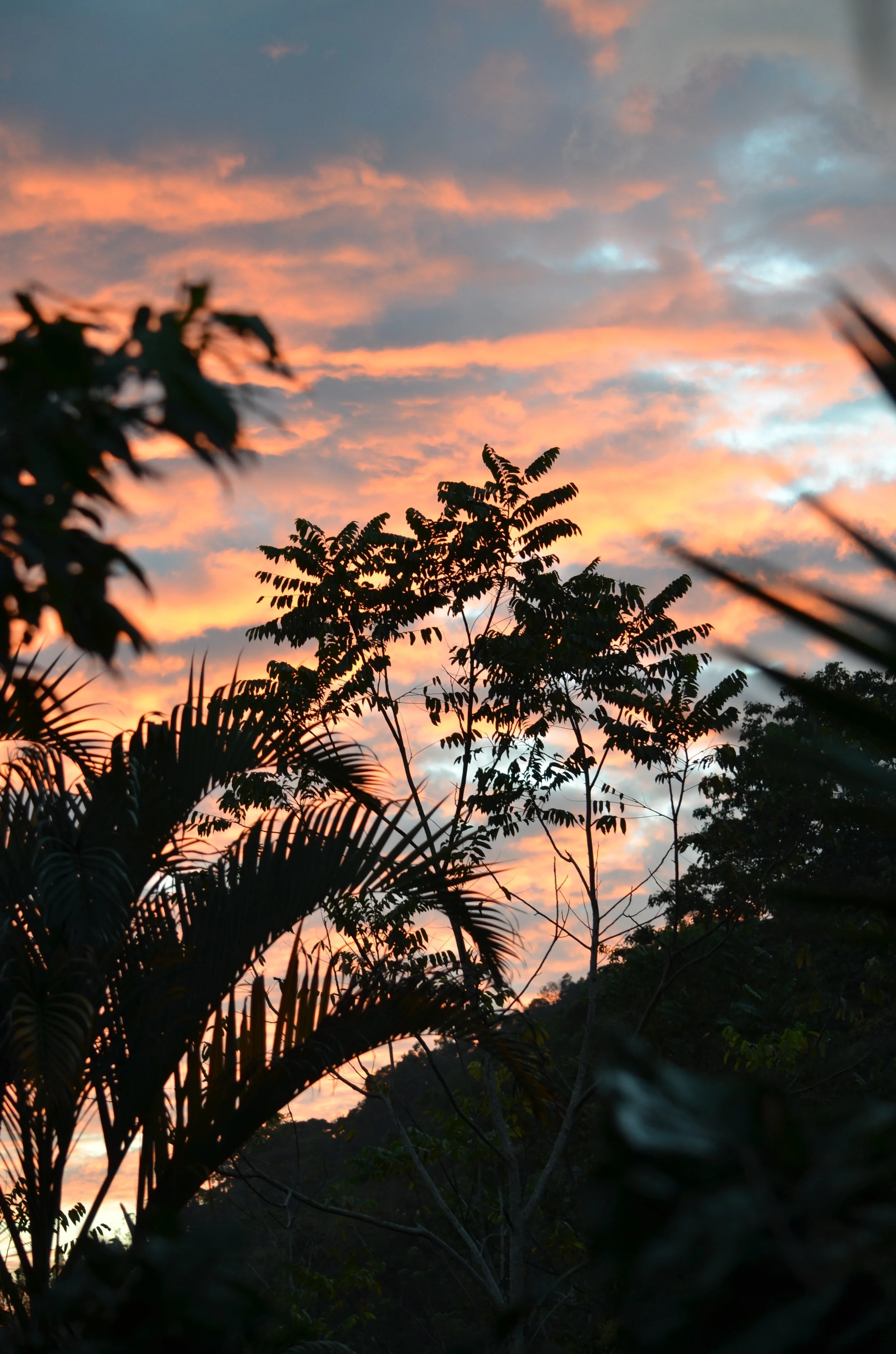 DSC_2767.jpg