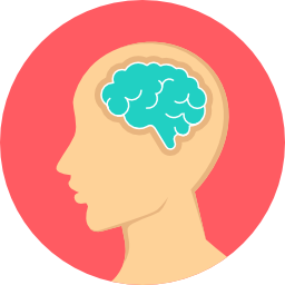 brain+(2).png