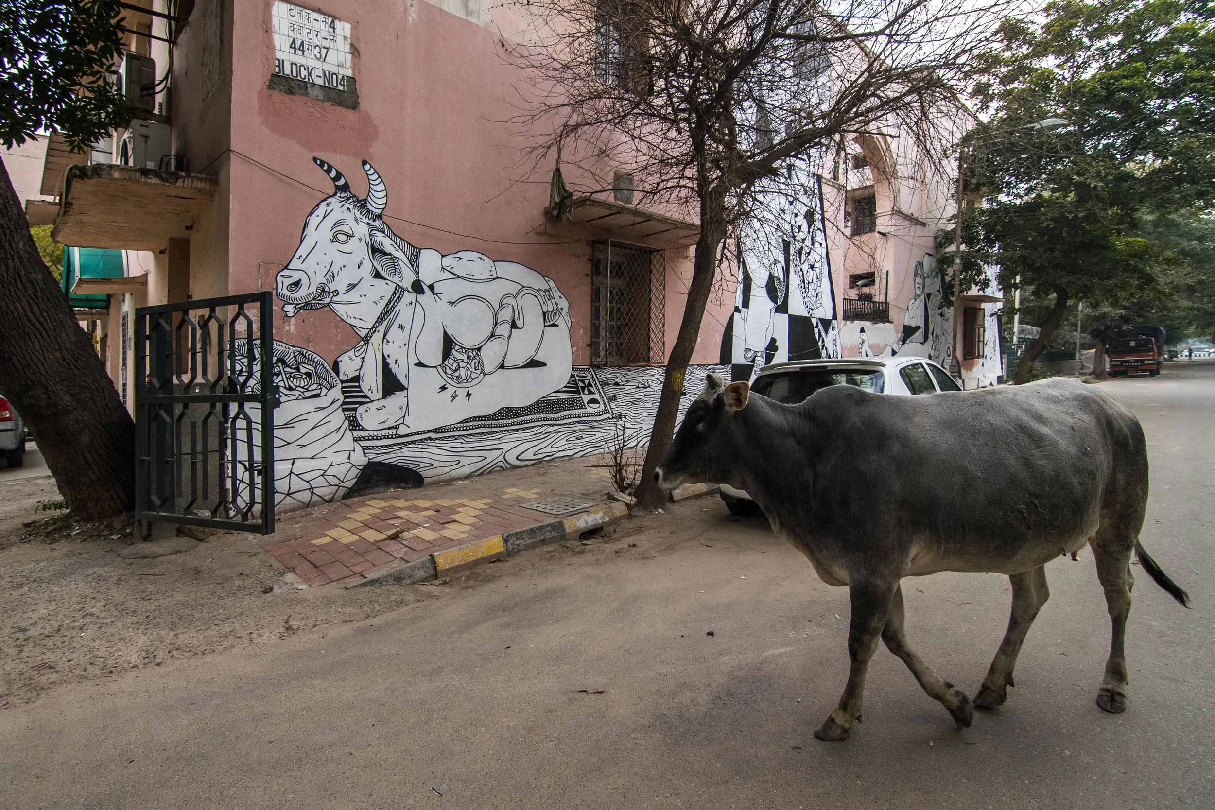  new delhi * india 2019 