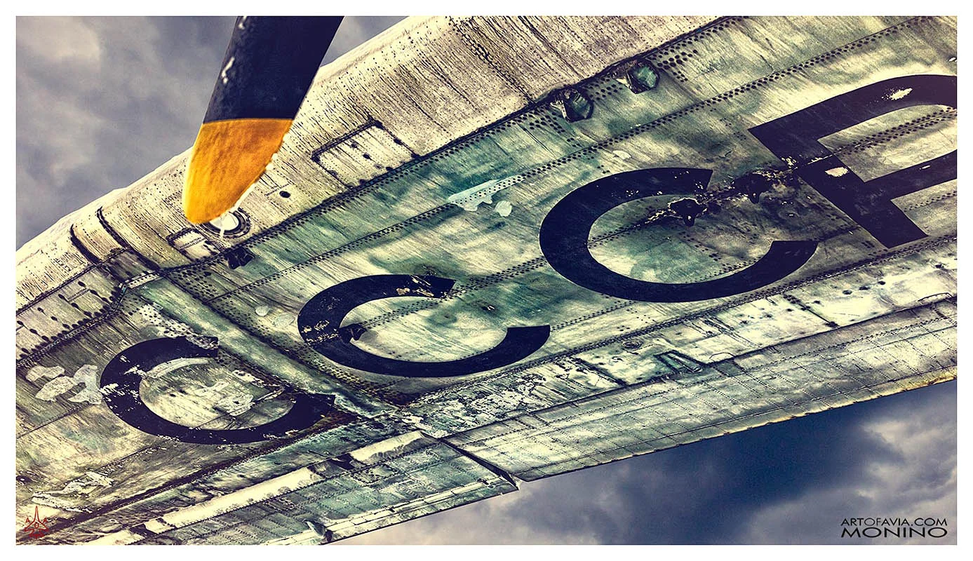 Antonov An-22 Wing Art of Avia Central Air Force MuseuM
