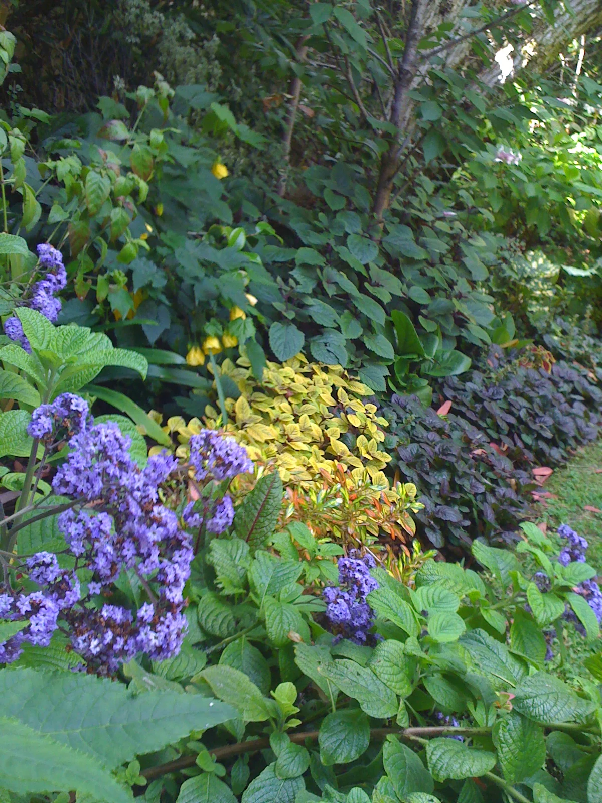 IMG_2577.jpg