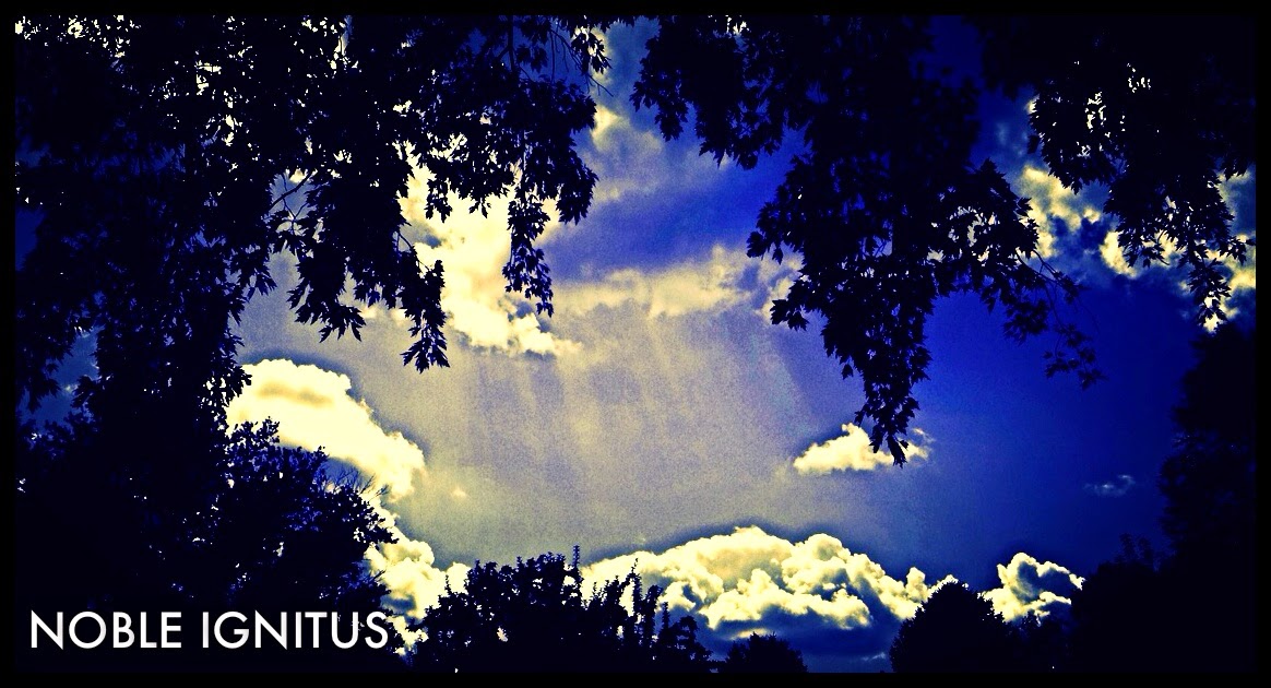 Tree framed blue