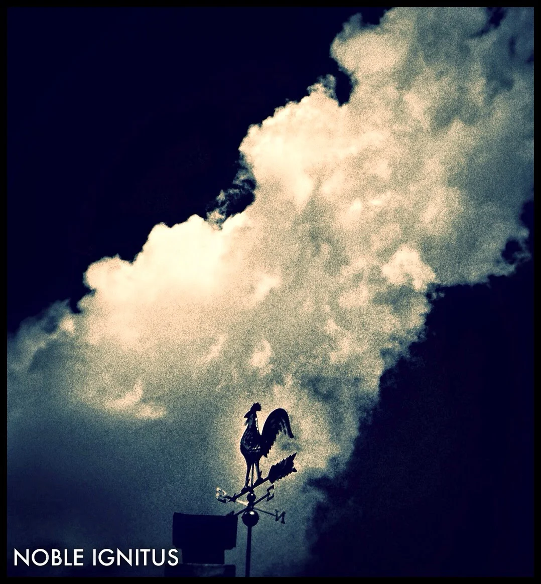 Rooster sky