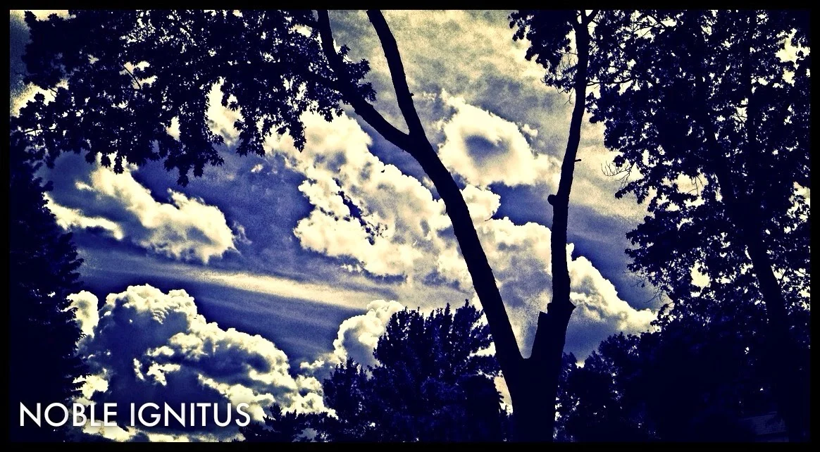V tree clouds