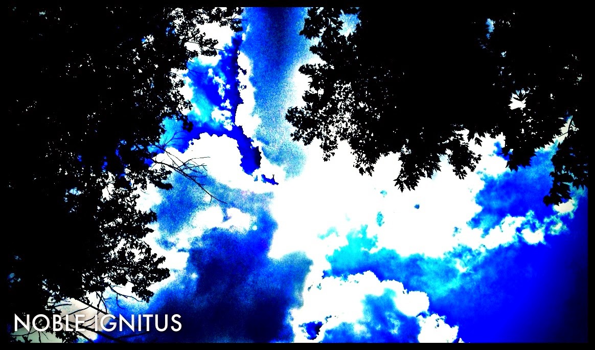 Backyard sky