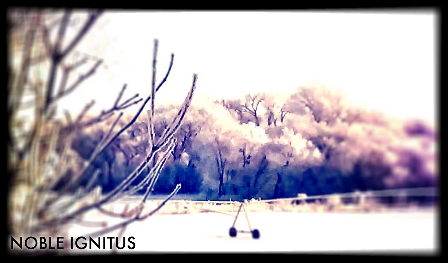 Freezing Fog from Creeping