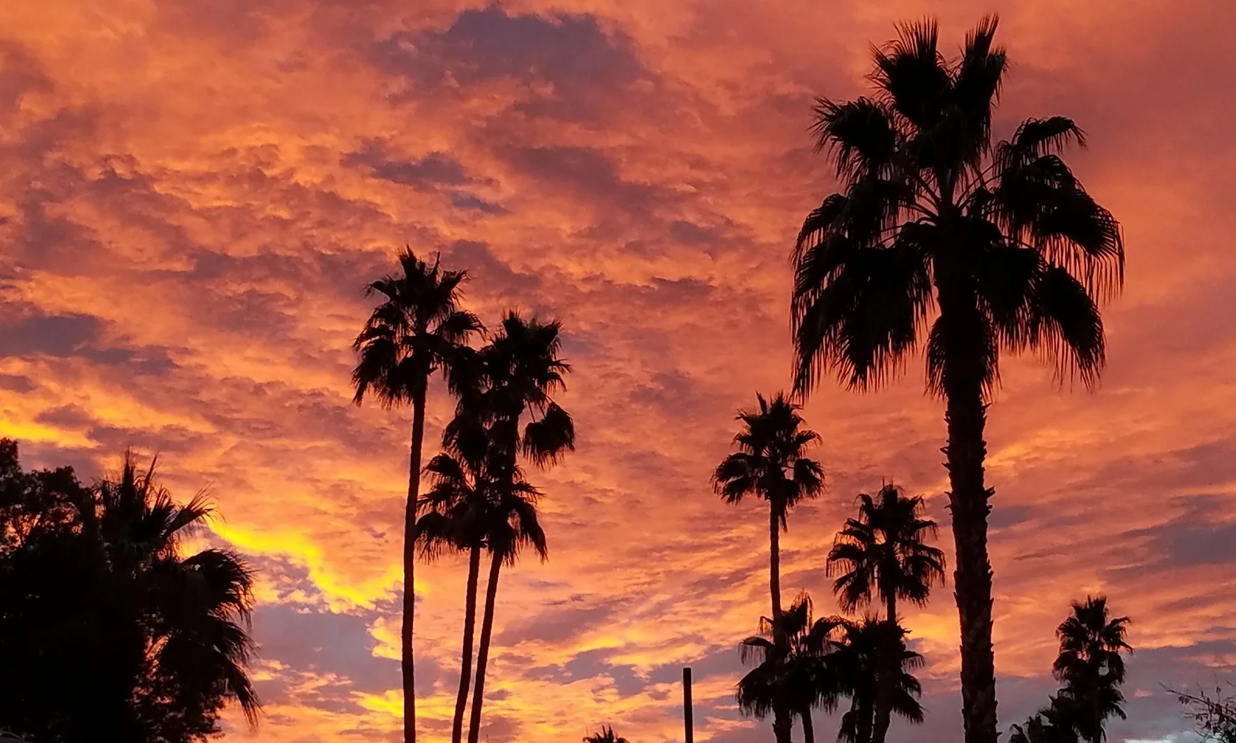des sky.jpg