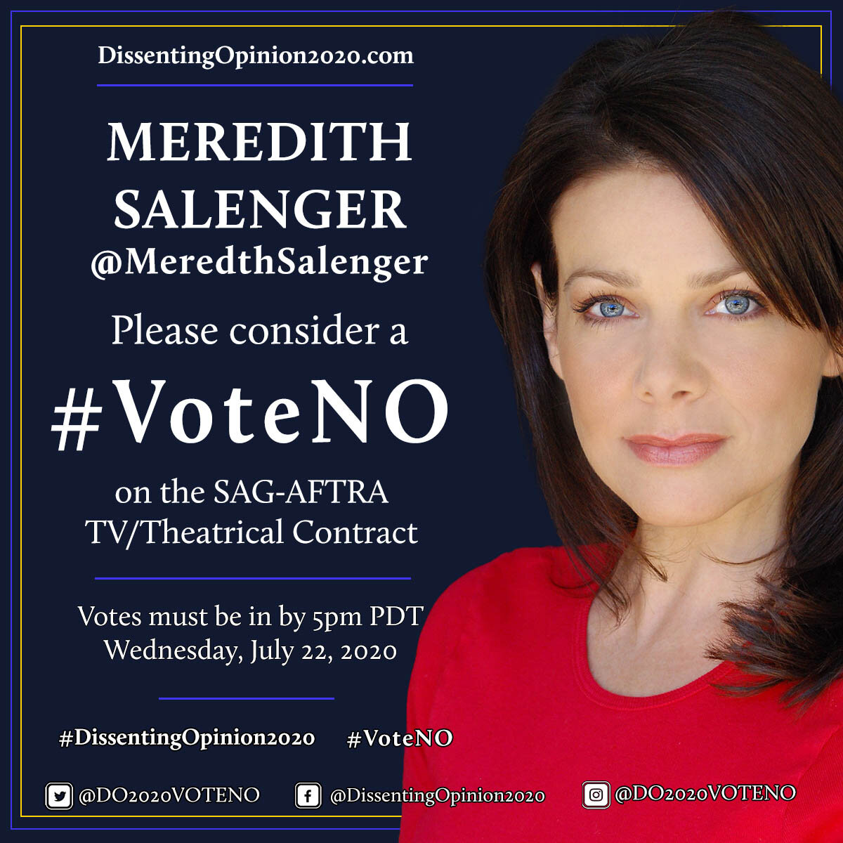 Meredith Salenger Hash Vote No 1200x1200.jpg