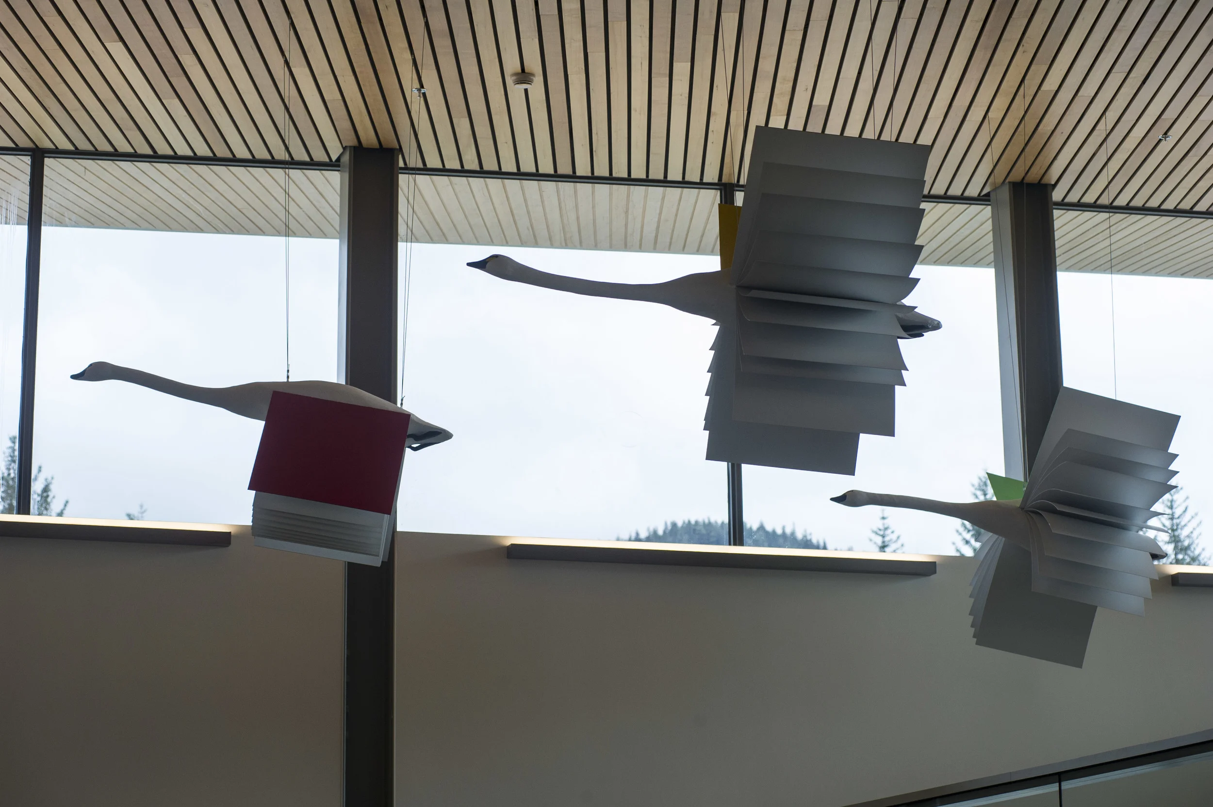 "Flight of Imagination" Mendenhall Library