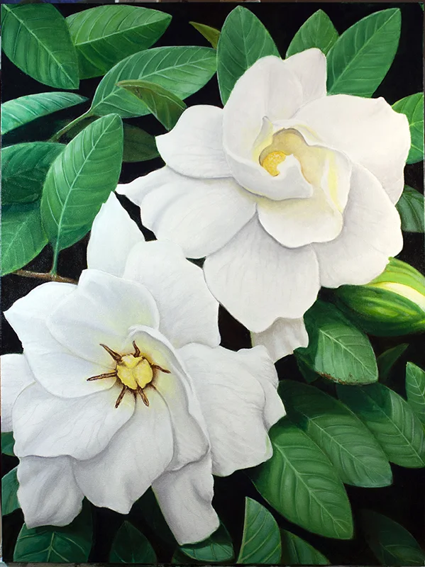 GARDENIAS oil on canvas, 3’x4’ 2019 $2,750 sold