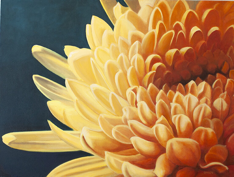 YELLOW CHRYSANTHEMUM  36"X48"  2019