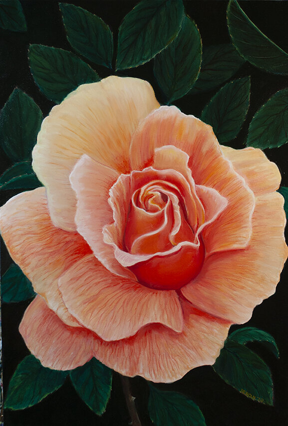 PEACH ROSE  36"X48"  2020   commissioned