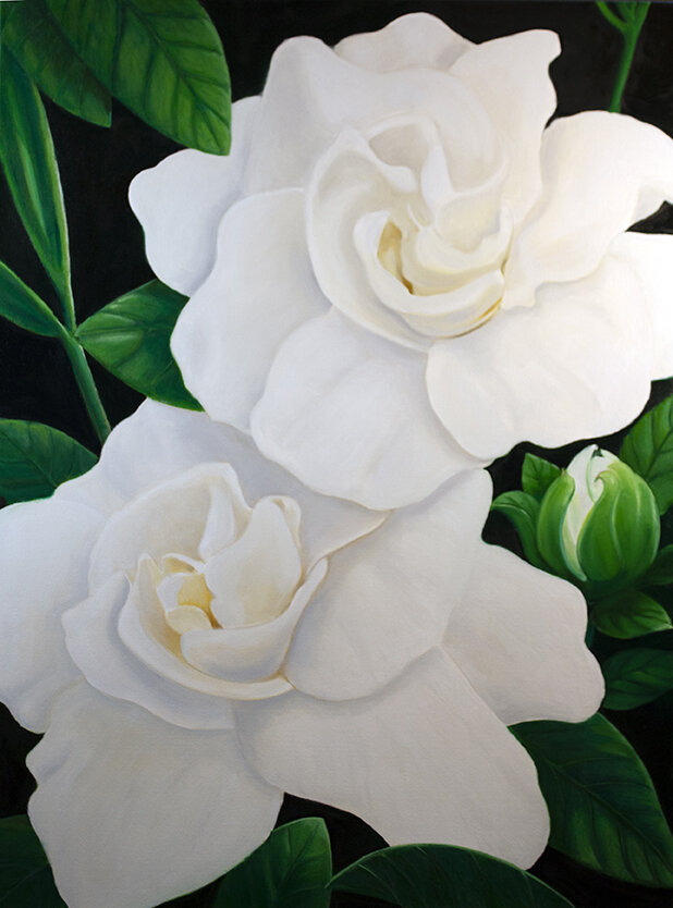 DOUBLE GARDENIA 36"X48"  2020  commissioned