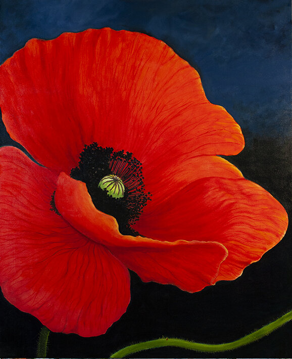 RED POPPY 36"X44" 2019