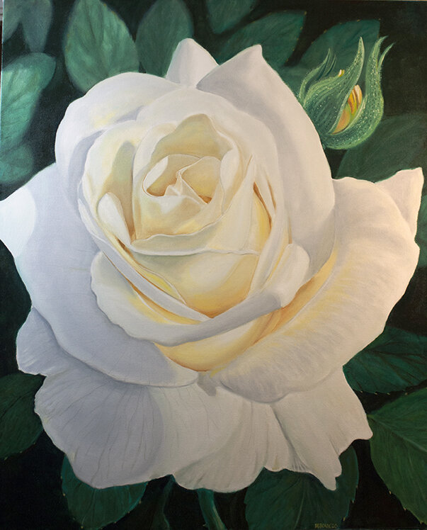 WHITE ROSE  44"x36" oil on canvas