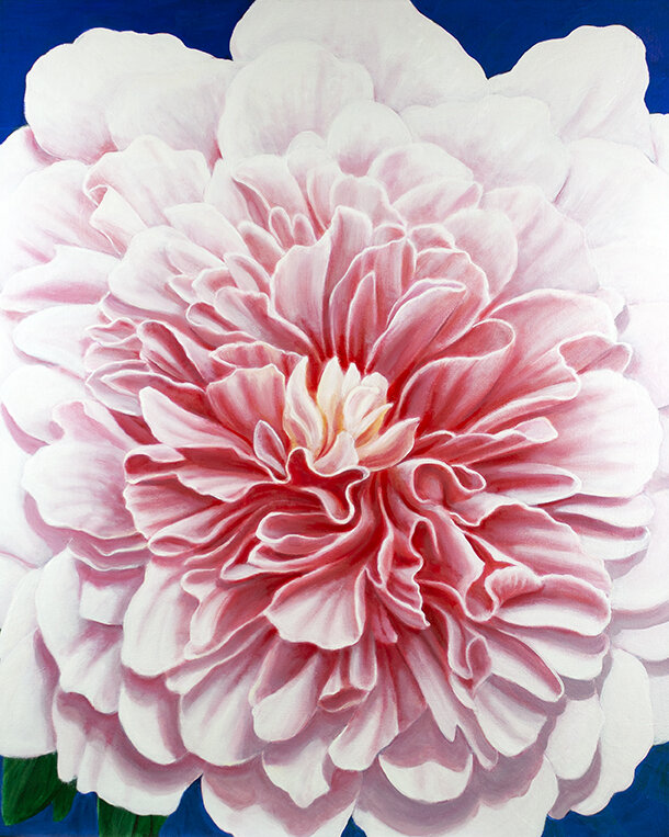 PINK PEONY  36"X44"  2020. 