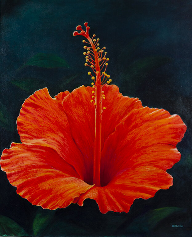 "RED ORANGE HIBISCUS" 