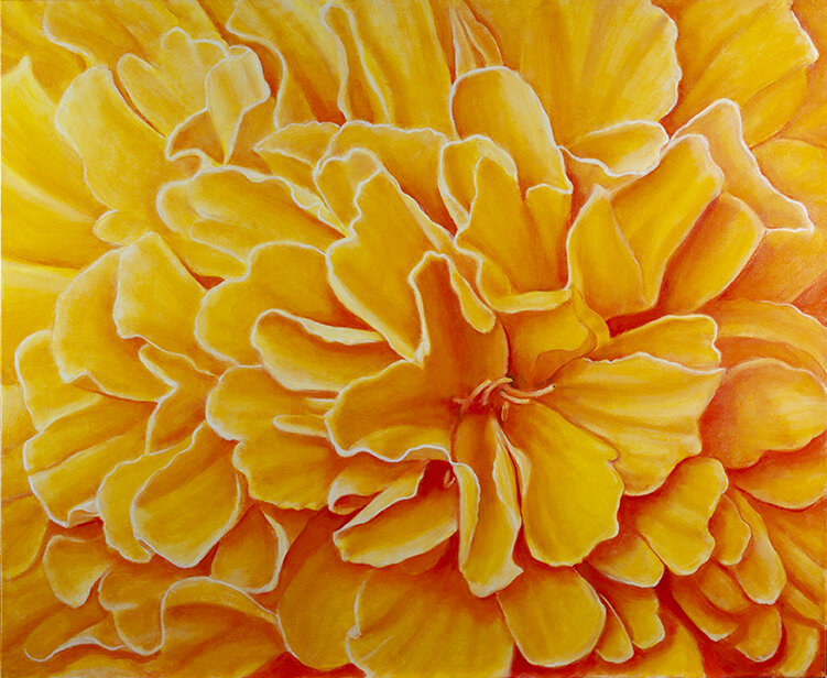 MARIGOLD