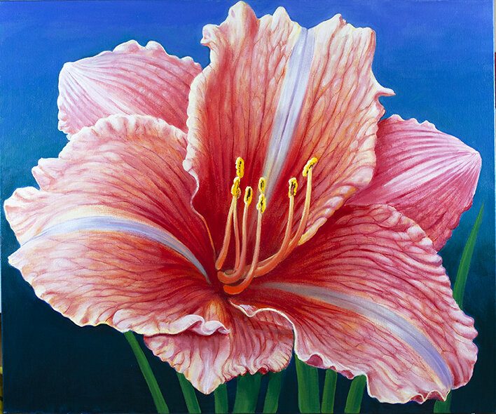 DAY LILY, 36"x30". oil on canvas. 