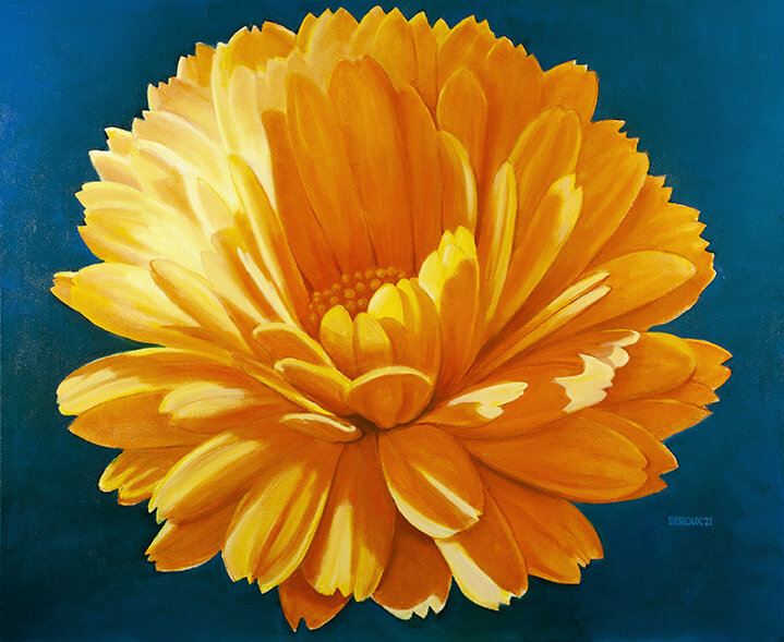 CALENDULA