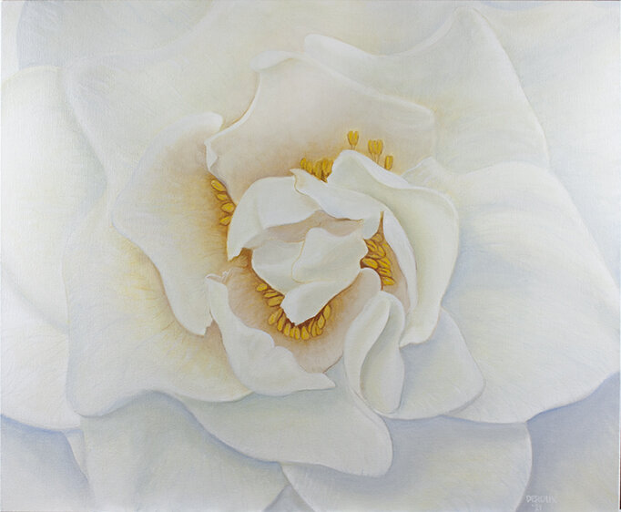 CAMELLIA 36"x30" oil on canvas 2021. 