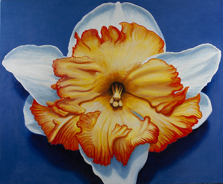 TAURUS DAFFODIL