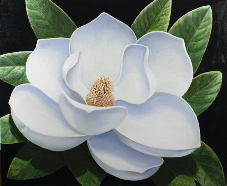 MAGNOLIA  36"x44"  2020.  $2,750