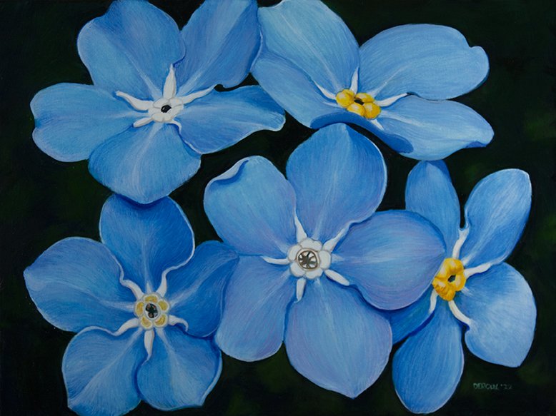 Forget Me Nots 