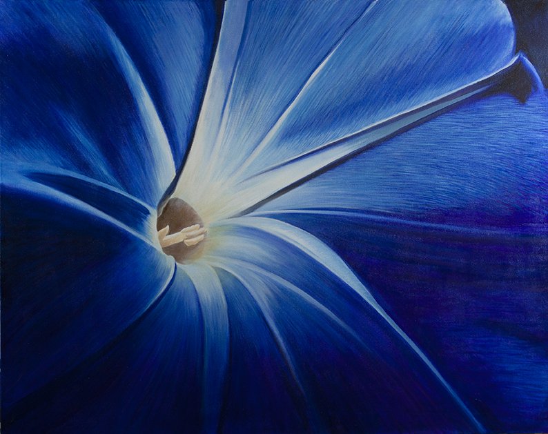 MORNING GLORY commissioned