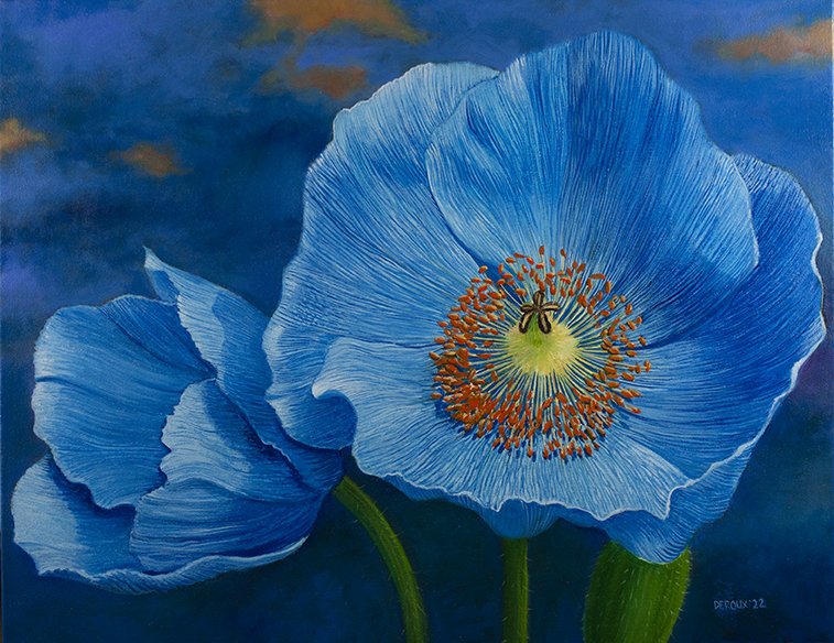 Blue Poppies commissioned