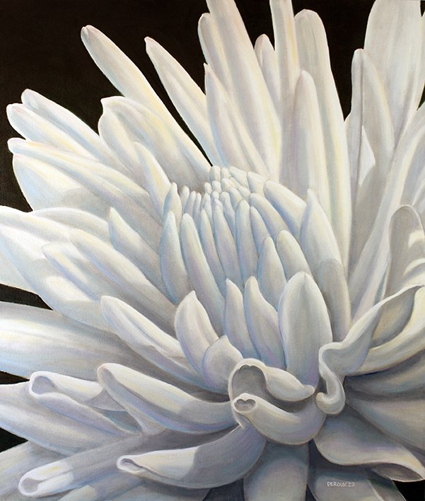 WHITE CACTUS DAHLIA