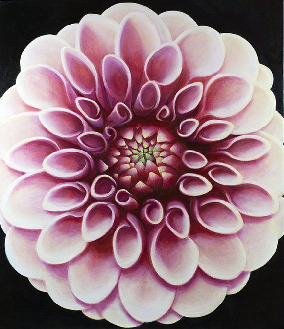 MAGENTA DAHLIA