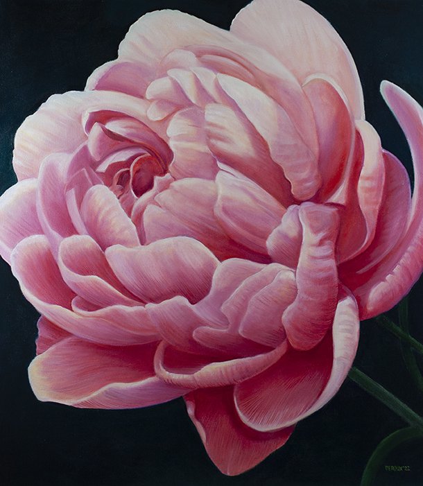 CORAL PEONY