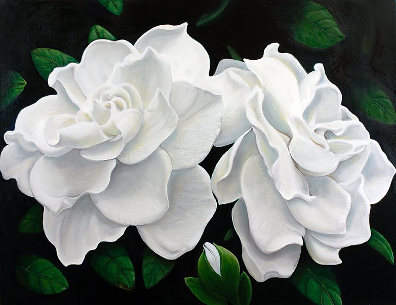 TWO GARDENIAS, oil on canvas. 2024.  36"x46"  